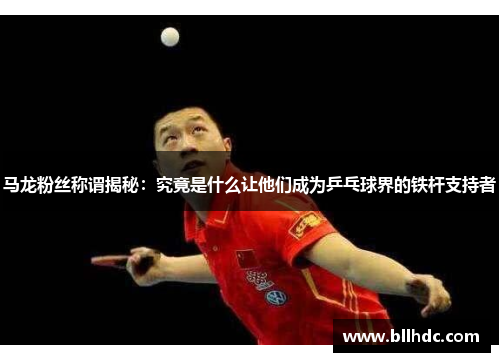 马龙粉丝称谓揭秘：究竟是什么让他们成为乒乓球界的铁杆支持者