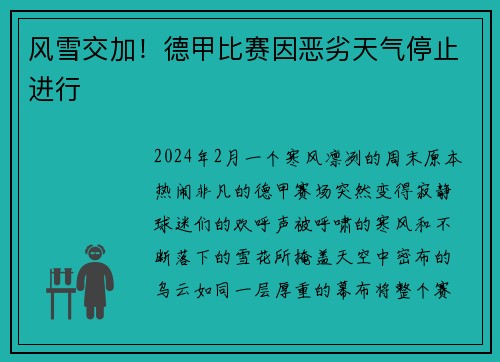 风雪交加！德甲比赛因恶劣天气停止进行